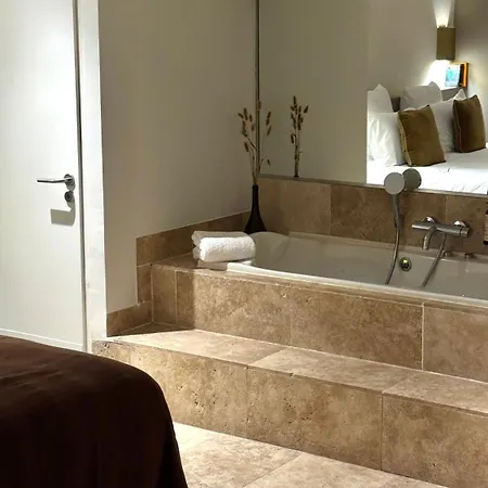 Mihotel Le Gourguillon Lyon
