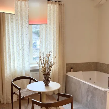 Mihotel Le Gourguillon 2* Lione