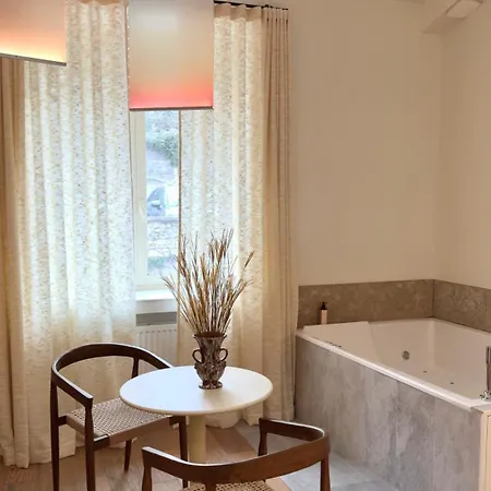 Mihotel Le Gourguillon 3* Lyon
